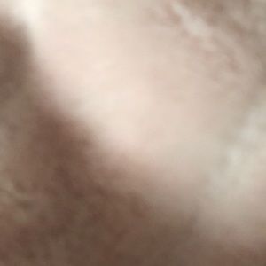 Meet your Posher, Bailey